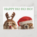Search for english bulldog christmas cards Puppy