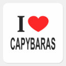 Search for capybara gifts Capybaras