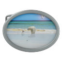 Search for bear belt buckles Polar