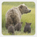 Search for alaska stickers Brown bear
