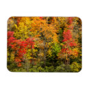 Search for north carolina magnets Appalachian mountains