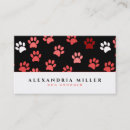 Search for puppy Pet grooming