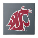 Search for state tiles Washington state university