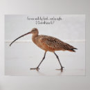 Search for scripture bird art Nature