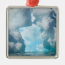 Search for antarctica ornaments Snow