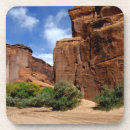 Search for arizona coasters Cloud