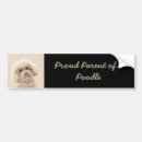 Search for poodle bumper stickers Cute