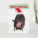 Search for labrador retriever christmas cards Funny