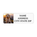 Search for goldendoodle return address labels Puppy