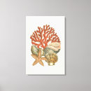 Search for seashells sea shells canvas prints Nature
