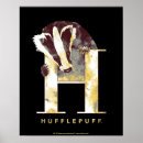Search for harry potter posters Wizard