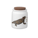 Search for lizard favors Reptile