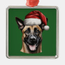 Search for belgian malinois ornaments Animal