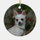 Search for chihuahua ornaments bob and pam langrish