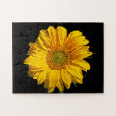 Search for sunflower puzzles Yellow