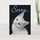Search for funny apology cards Animal