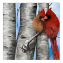 Search for cardinals on birch trees Gray