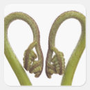 Search for cutout stickers Natural world
