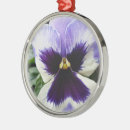 Search for violet flower ornaments Pansy