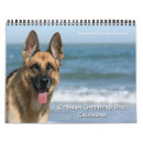 Search for german shepherd calendars Cute