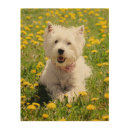 Search for dog wood wall art canine