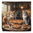 Search for cat clothes Cats