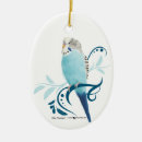 Search for parakeet ornaments Budgie