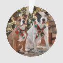 Search for pitbull ornaments Dog lover