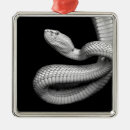 Search for snake ornaments Dangerous