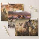 Search for horse school supplies folders Ocean