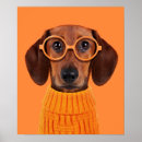 Search for funny dog posters Canine