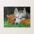 Search for siberian husky puzzles Funny