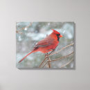 Search for cardinal painting canvas prints Winter