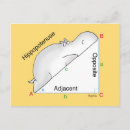 Search for math postcards Geometry
