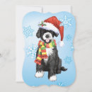 Search for portuguese water dog christmas Portie