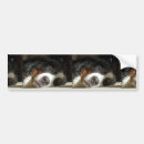 Search for dog bumper stickers Silhouette