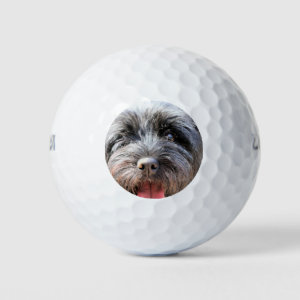 'Cairn Terrier' coffret cadeau golf GO024636 