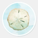 Search for sand dollar stickers Blue