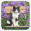 Search for kitten square stickers flowers