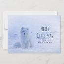 Search for snowy christmas cards White