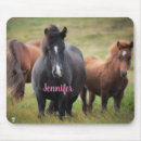 Search for horse mousepads wild