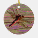 Search for dragonfly ornaments Green