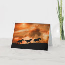 Search for equine sympathy cards Loss of horse