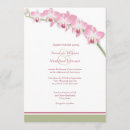 Search for orchid wedding invitations Flowers