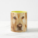 Search for golden retriever mugs Cute