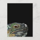 Search for iguana postcards Mexico