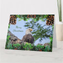 Search for eagle christmas cards Wildlife