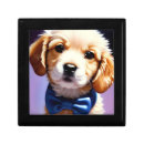 Search for dog gift boxes Adorable