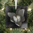 Search for magnolia ornaments Bloom
