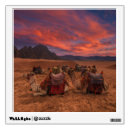 Search for desert wall decals Mountain